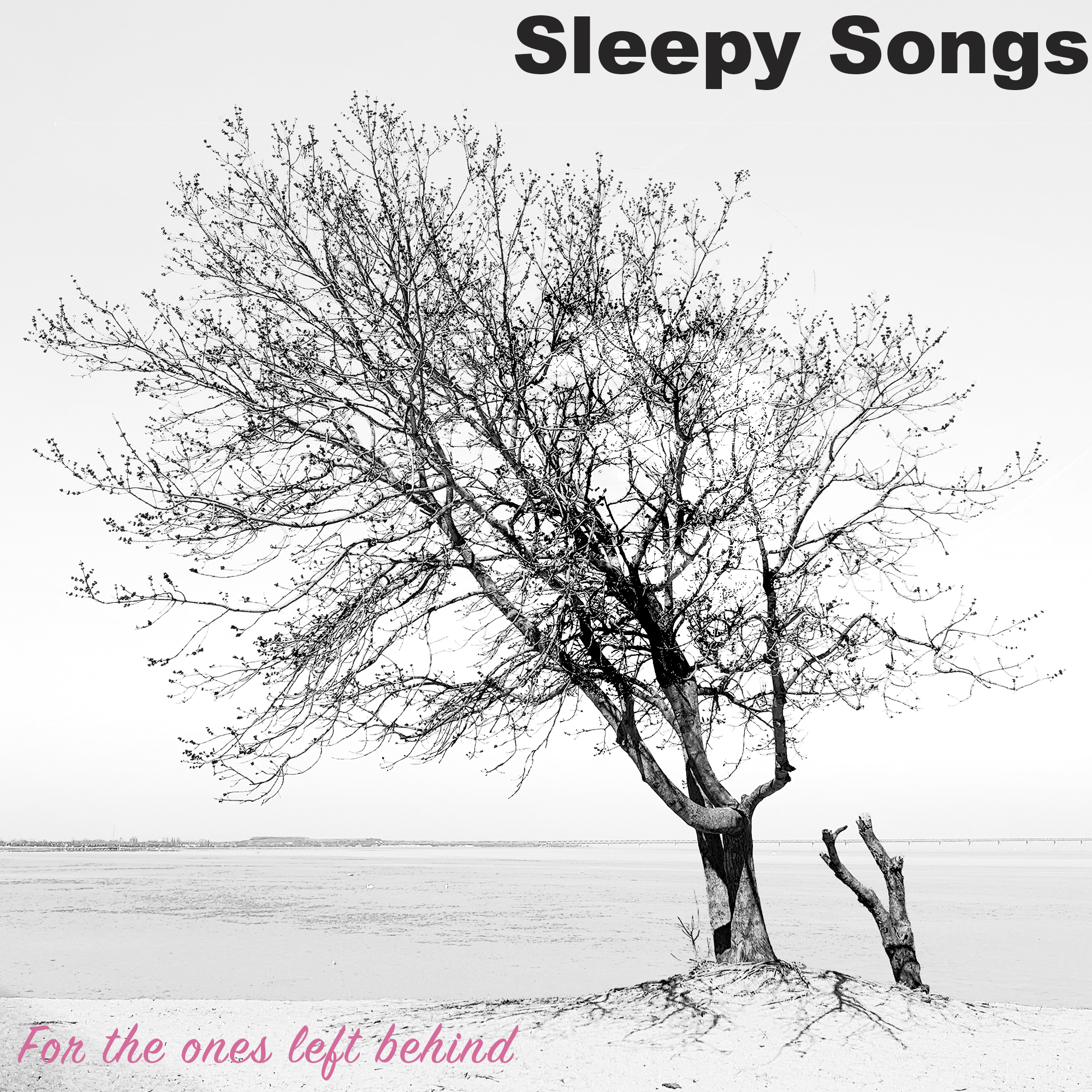 Johan Eckman (Sleepy Songs) - For the ones left behind